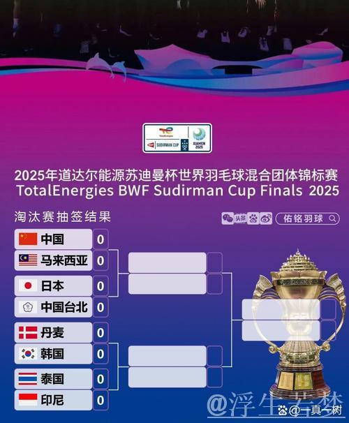 苏迪曼杯八强揭晓 中国队迎战马来西亚